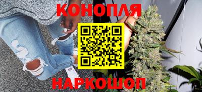 сатива Краснознаменск