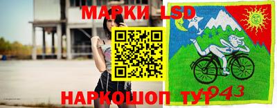 индика Краснокаменск