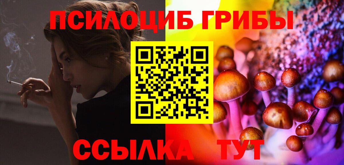 цены   Вход с VPN  Каспийск  Псилоцибиновые грибы GOLDEN TEACHER 